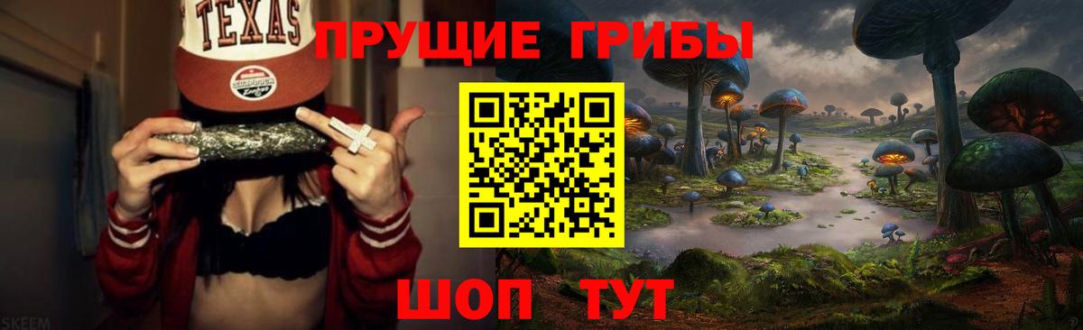 Зеленокумск  Псилоцибиновые грибы Psilocybe  Вход с VPN 